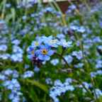 Don’t forget to register!