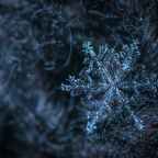 January 2024 Registration Closing Dates