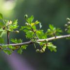 March and April 2024 ELQI  PD Opportunities