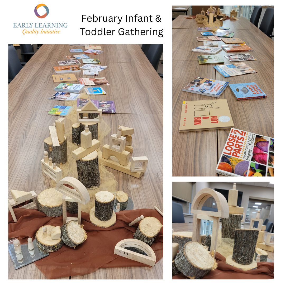 Toddler Initiative Monthly Gatherings in 2024 – Early Learning Quality Initiative
