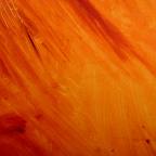 2 Reminders:  Appreciation Registration and Shining Stars Nominations