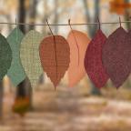 October and November 2024 ELQI PD Opportunities