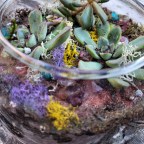 Appreciation 2024 Reflections – Part 3