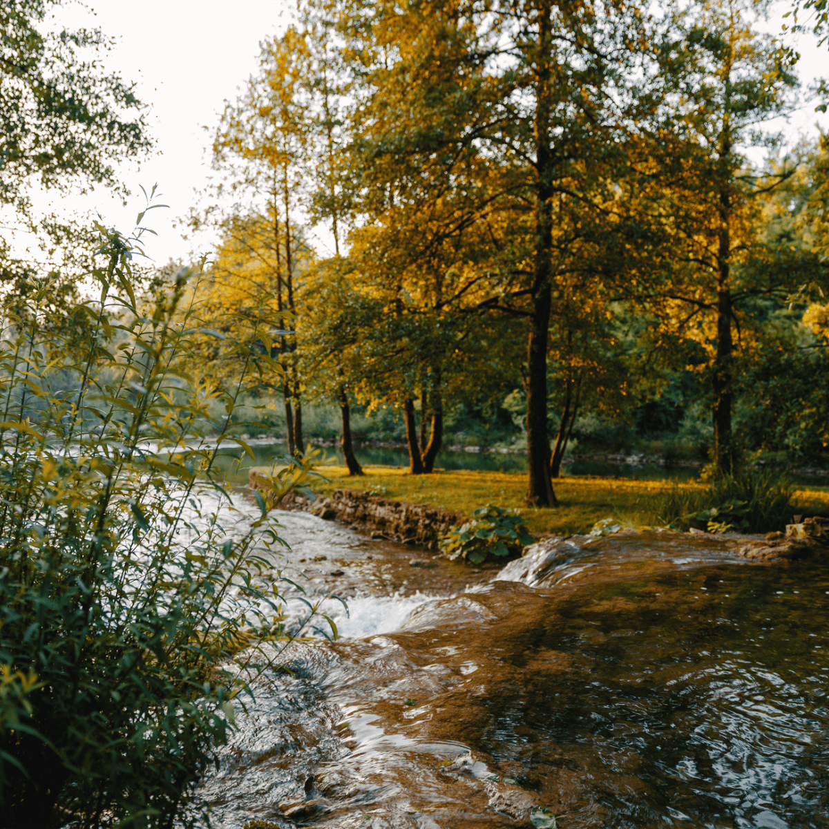 Fall Into Learning: Upcoming Professional Development Opportunities for Educators