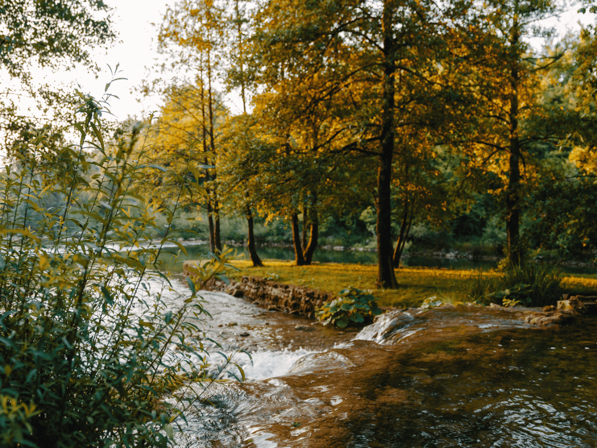 Fall Into Learning: Upcoming Professional Development Opportunities for Educators